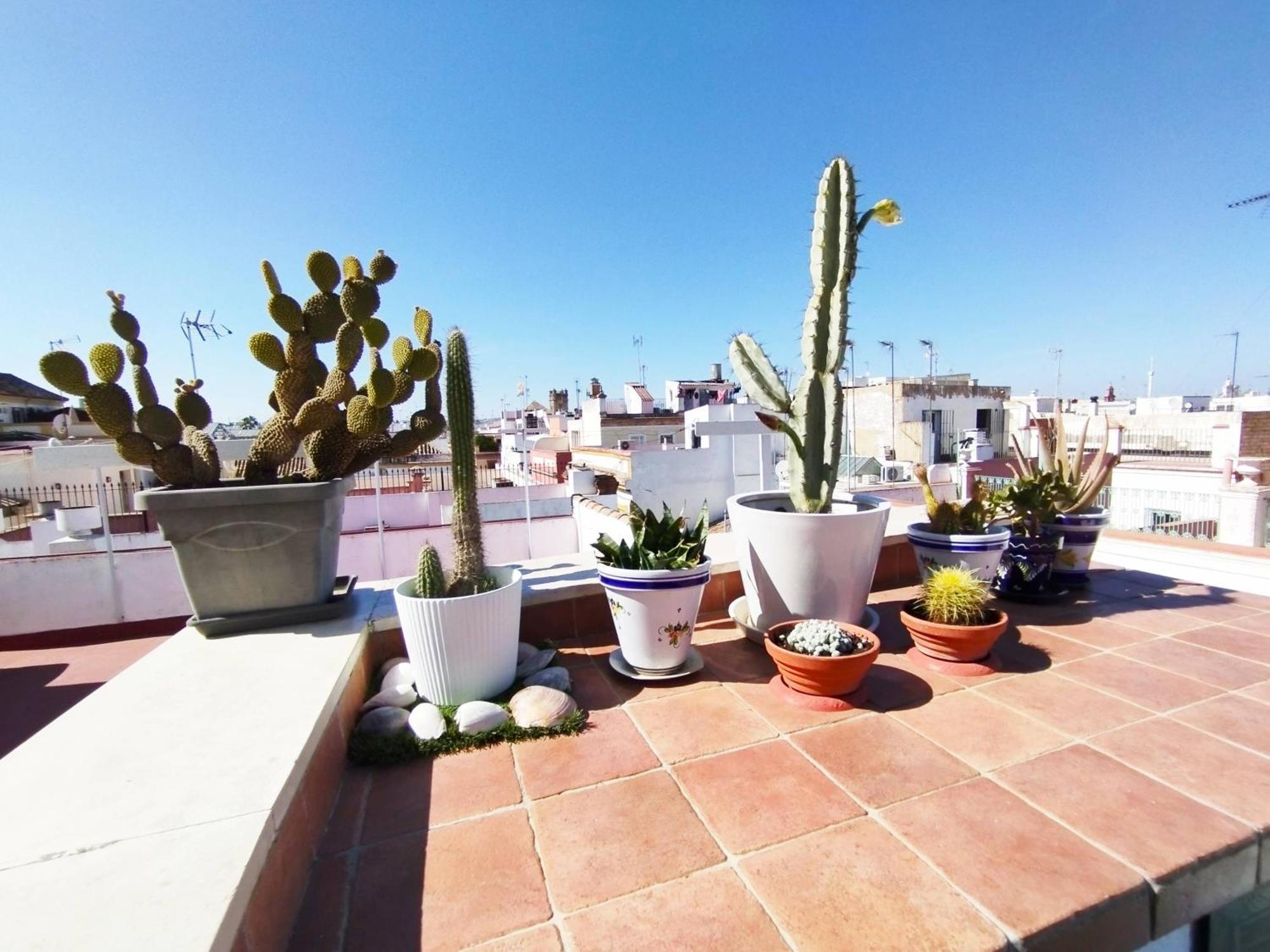 Casa Gavidia - Duplex With Panoramic View Apartment Seville Luaran gambar